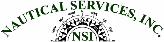 nsi_logo
