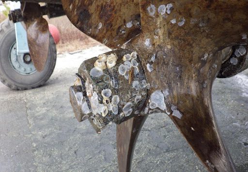 A close up of the metal part of a cow.